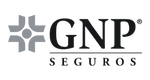 9.png